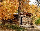 Cottonwood Cabin - John Lorenz